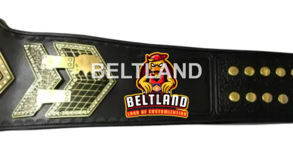 TNA IMPACT GRAND CHAMPIONSHIP BELT ADULT SIZE REPLICA ZINC 2MM 4MM - Image 4