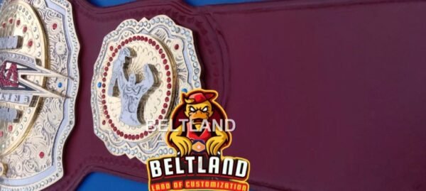 TNA Legends Championship Belt Adult Size Replica Zinc 2mm 4mm *Triple Layered* - Image 6