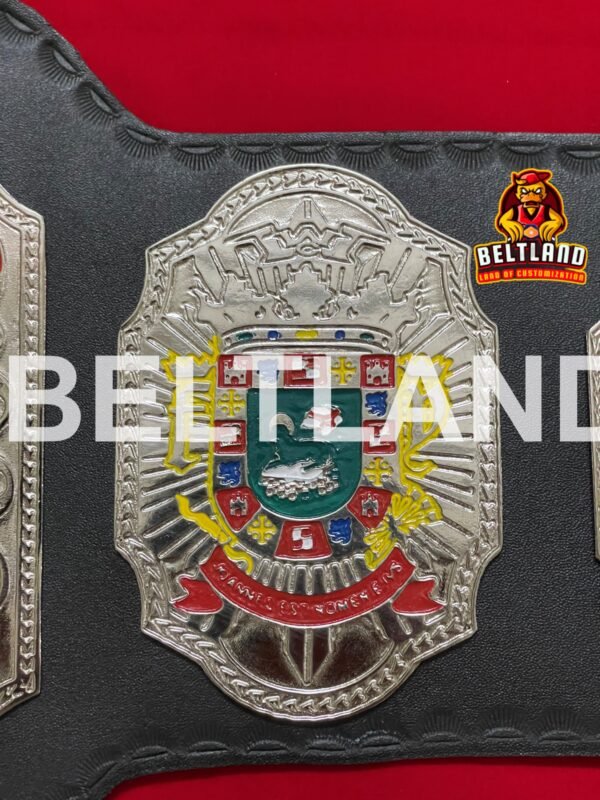 WWC Puerto Rico World Heavy Weight Wrestling Championship Belt Adult Size Replica 2mm 4mm in Zinc - Image 6
